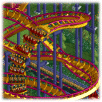 Joint Runner-up Steel Twister Coaster